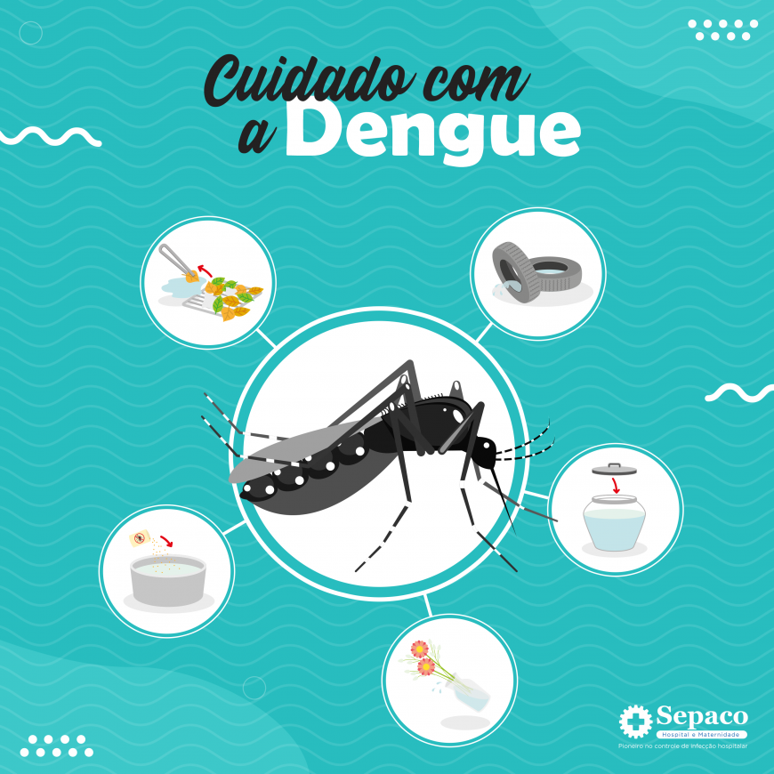 Dengue Fique Atento E Saiba Como Se Prevenir Sepaco Autogest O